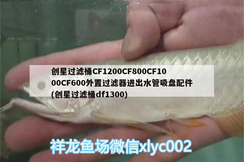 創(chuàng)星過濾桶CF1200CF800CF1000CF600外置過濾器進出水管吸盤配件(創(chuàng)星過濾桶df1300)