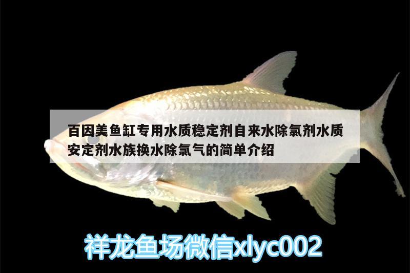 百因美魚缸專用水質(zhì)穩(wěn)定劑自來(lái)水除氯劑水質(zhì)安定劑水族換水除氯氣的簡(jiǎn)單介紹 廣州水族器材濾材批發(fā)市場(chǎng)