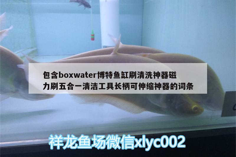 包含boxwater博特魚缸刷清洗神器磁力刷五合一清潔工具長柄可伸縮神器的詞條