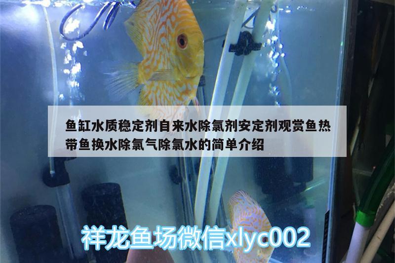 魚缸水質穩(wěn)定劑自來水除氯劑安定劑觀賞魚熱帶魚換水除氯氣除氯水的簡單介紹 廣州水族器材濾材批發(fā)市場