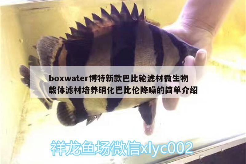 boxwater博特新款巴比輪濾材微生物載體濾材培養(yǎng)硝化巴比倫降噪的簡(jiǎn)單介紹