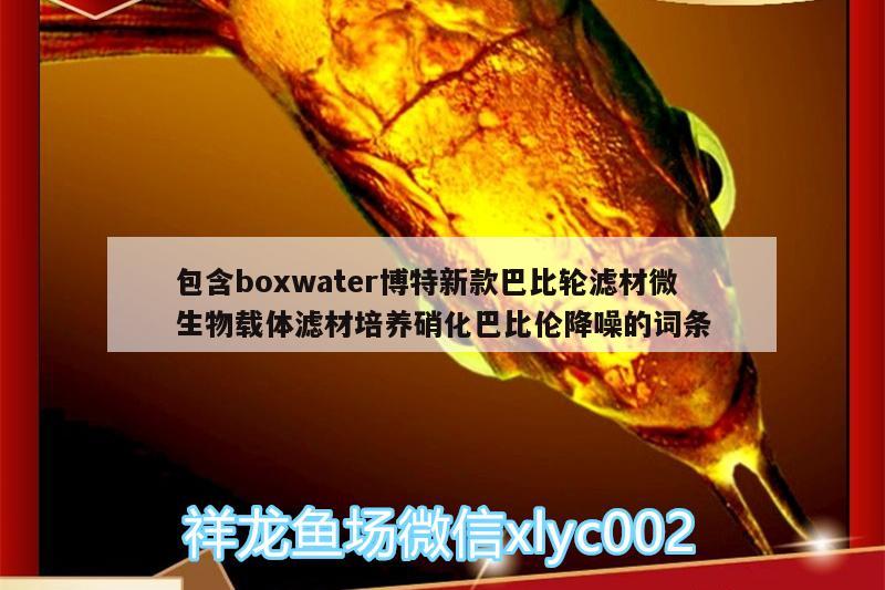 包含boxwater博特新款巴比輪濾材微生物載體濾材培養(yǎng)硝化巴比倫降噪的詞條