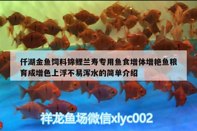 仟湖金魚飼料錦鯉蘭壽專用魚食增體增艷魚糧育成增色上浮不易渾水的簡(jiǎn)單介紹