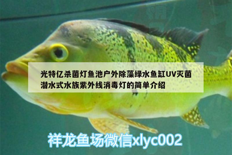 光特億殺菌燈魚(yú)池戶外除藻綠水魚(yú)缸UV滅菌潛水式水族紫外線消毒燈的簡(jiǎn)單介紹