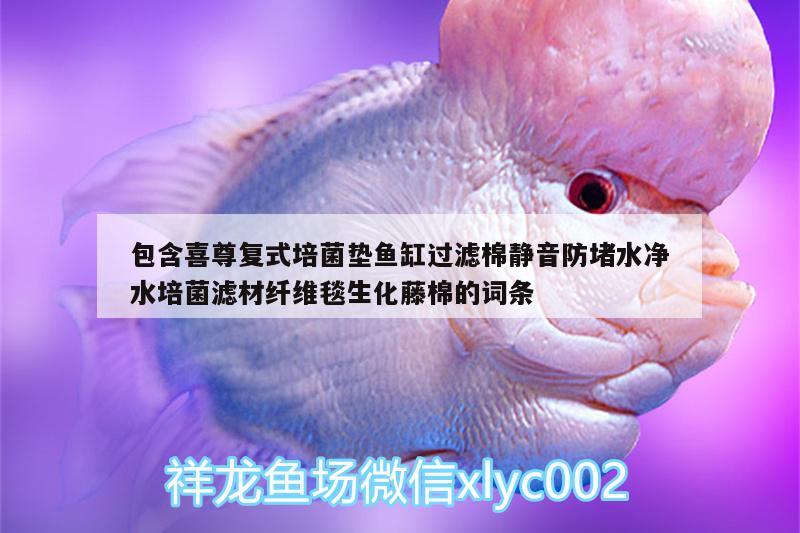 包含喜尊復(fù)式培菌墊魚(yú)缸過(guò)濾棉靜音防堵水凈水培菌濾材纖維毯生化藤棉的詞條