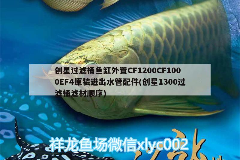 創(chuàng)星過(guò)濾桶魚(yú)缸外置CF1200CF1000EF4原裝進(jìn)出水管配件(創(chuàng)星1300過(guò)濾桶濾材順序)