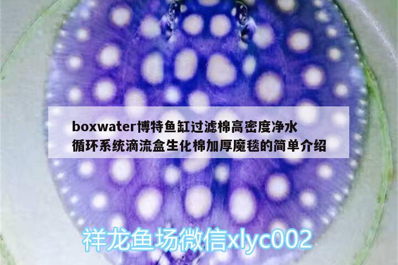 boxwater博特魚缸過濾棉高密度凈水循環(huán)系統(tǒng)滴流盒生化棉加厚魔毯的簡單介紹 博特水族