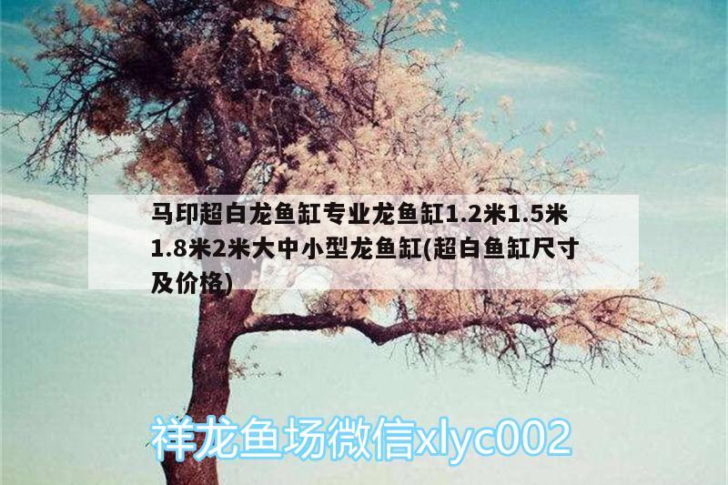 馬印超白龍魚缸專業(yè)龍魚缸1.2米1.5米1.8米2米大中小型龍魚缸(超白魚缸尺寸及價(jià)格)