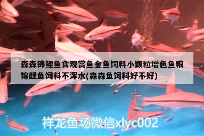 森森錦鯉魚食觀賞魚金魚飼料小顆粒增色魚糧錦鯉魚飼料不渾水(森森魚飼料好不好)