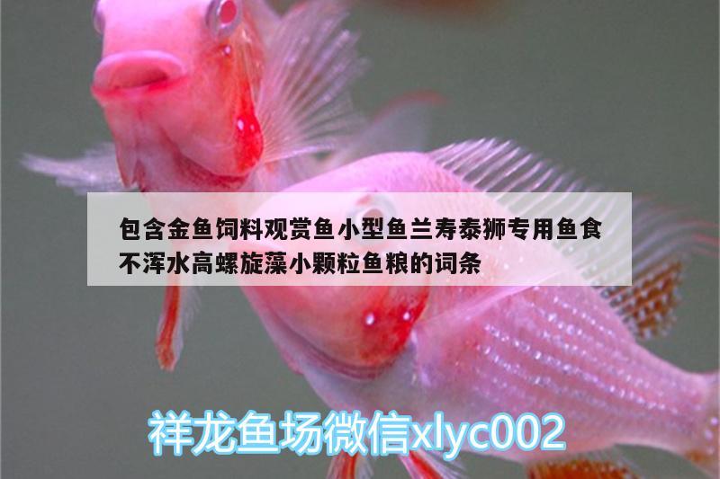 包含金魚飼料觀賞魚小型魚蘭壽泰獅專用魚食不渾水高螺旋藻小顆粒魚糧的詞條 廣州水族器材濾材批發(fā)市場 第2張