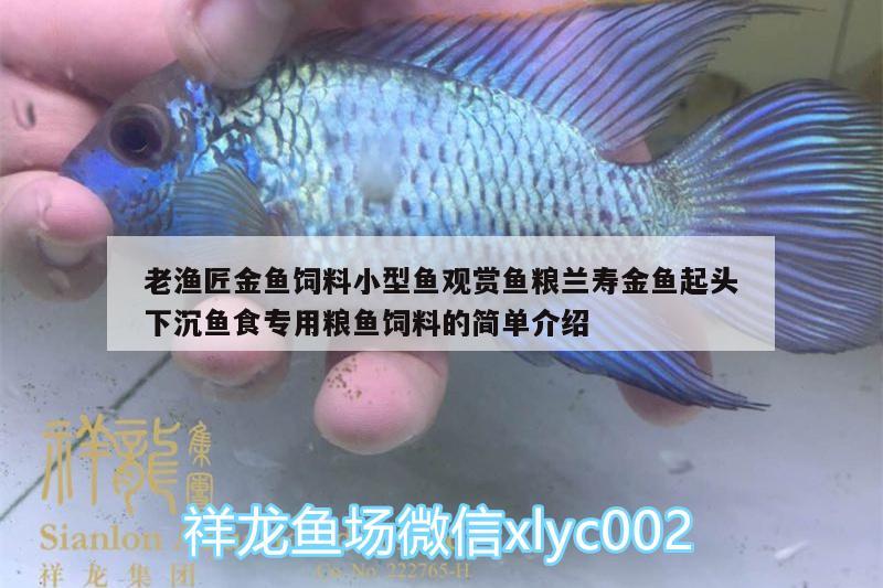 老漁匠金魚(yú)飼料小型魚(yú)觀賞魚(yú)糧蘭壽金魚(yú)起頭下沉魚(yú)食專(zhuān)用糧魚(yú)飼料的簡(jiǎn)單介紹 廣州水族器材濾材批發(fā)市場(chǎng)