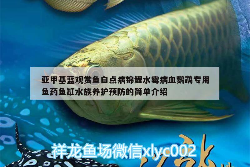 亞甲基藍觀賞魚白點病錦鯉水霉病血鸚鵡專用魚藥魚缸水族養(yǎng)護預防的簡單介紹 鸚鵡魚