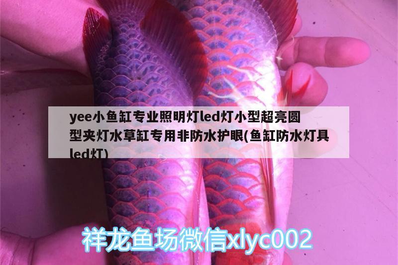 yee小魚缸專業(yè)照明燈led燈小型超亮圓型夾燈水草缸專用非防水護眼(魚缸防水燈具led燈) yee