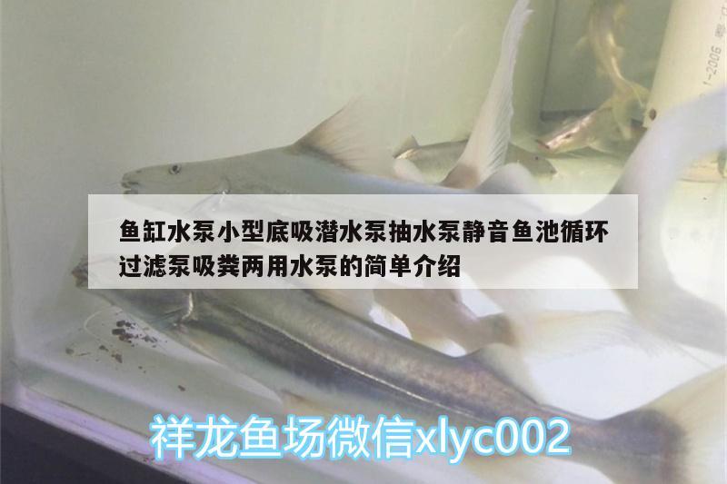 魚缸水泵小型底吸潛水泵抽水泵靜音魚池循環(huán)過濾泵吸糞兩用水泵的簡單介紹