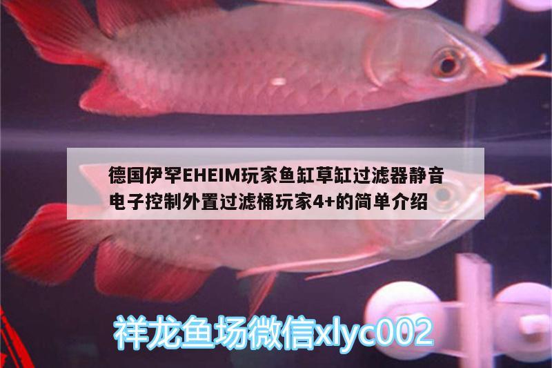 德國伊罕EHEIM玩家魚缸草缸過濾器靜音電子控制外置過濾桶玩家4+的簡單介紹