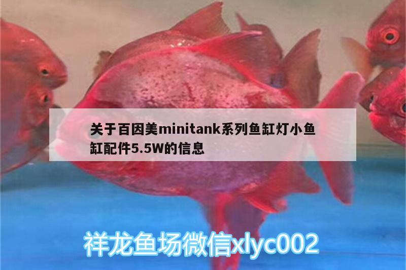 關(guān)于百因美m(xù)initank系列魚缸燈小魚缸配件5.5W的信息 廣州水族器材濾材批發(fā)市場(chǎng)