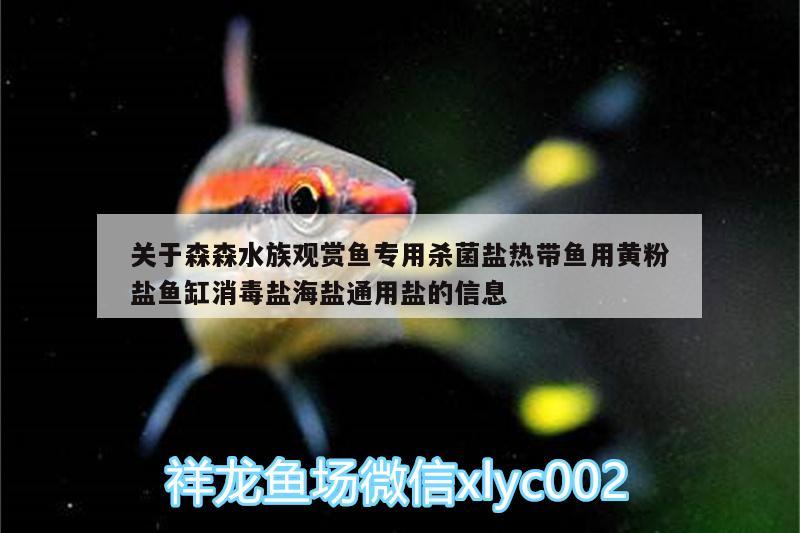 關(guān)于森森水族觀賞魚專用殺菌鹽熱帶魚用黃粉鹽魚缸消毒鹽海鹽通用鹽的信息 廣州水族器材濾材批發(fā)市場