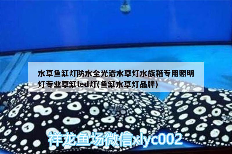 水草魚缸燈防水全光譜水草燈水族箱專用照明燈專業(yè)草缸led燈(魚缸水草燈品牌) 魚缸/水族箱