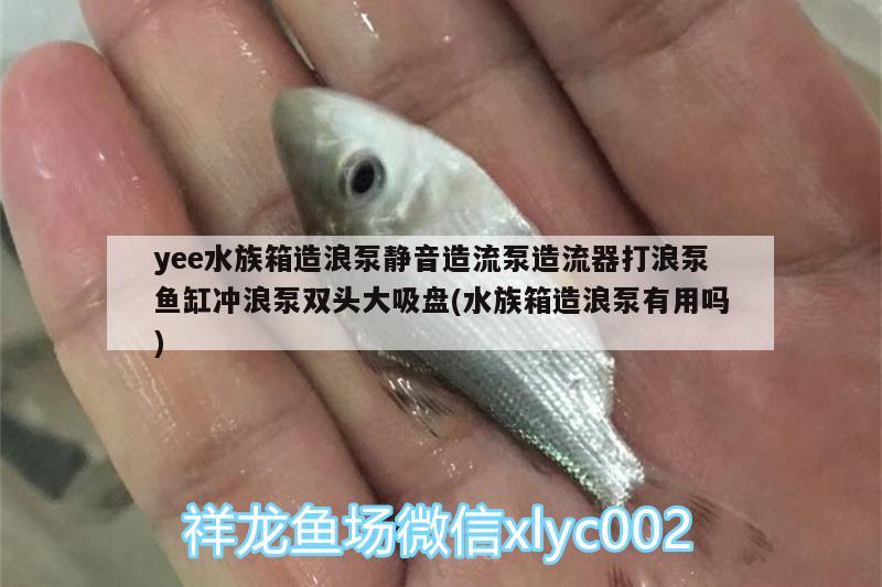 yee水族箱造浪泵靜音造流泵造流器打浪泵魚缸沖浪泵雙頭大吸盤(水族箱造浪泵有用嗎)