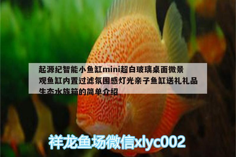 起源紀智能小魚缸mini超白玻璃桌面微景觀魚缸內置過濾氛圍感燈光親子魚缸送禮禮品生態(tài)水族箱的簡單介紹