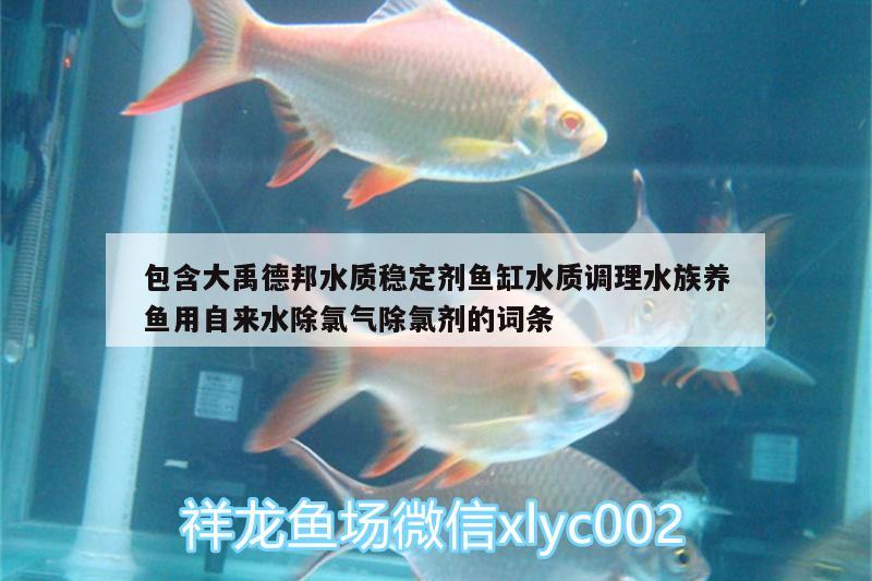 包含大禹德邦水質(zhì)穩(wěn)定劑魚(yú)缸水質(zhì)調(diào)理水族養(yǎng)魚(yú)用自來(lái)水除氯氣除氯劑的詞條