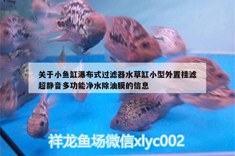 關于小魚缸瀑布式過濾器水草缸小型外置掛濾超靜音多功能凈水除油膜的信息 水草