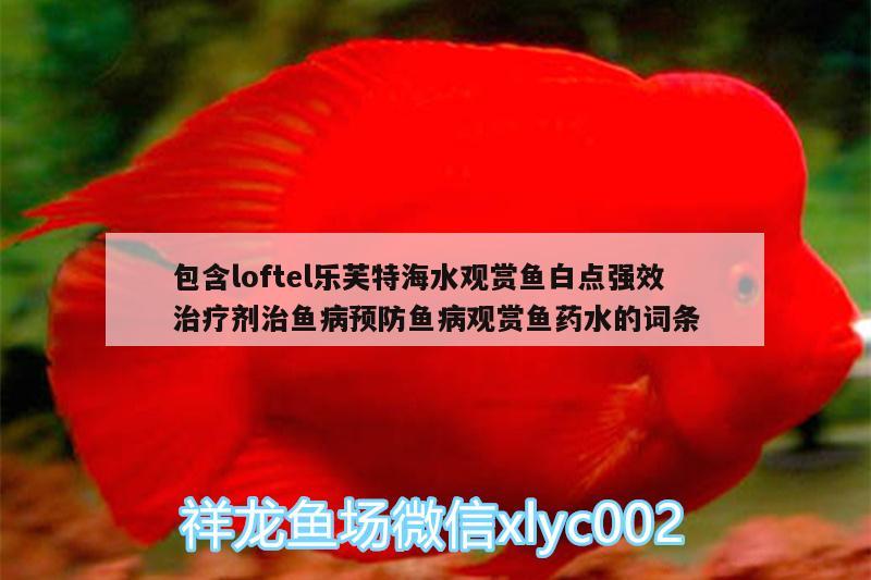 包含loftel樂芙特海水觀賞魚白點(diǎn)強(qiáng)效治療劑治魚病預(yù)防魚病觀賞魚藥水的詞條 廣州水族器材濾材批發(fā)市場(chǎng)