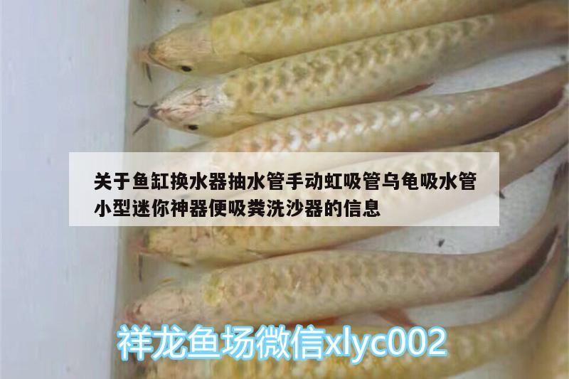 關(guān)于魚缸換水器抽水管手動(dòng)虹吸管烏龜吸水管小型迷你神器便吸糞洗沙器的信息 烏龜