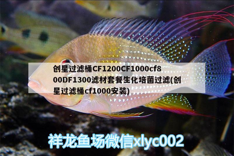 創(chuàng)星過(guò)濾桶CF1200CF1000cf800DF1300濾材套餐生化培菌過(guò)濾(創(chuàng)星過(guò)濾桶cf1000安裝) 廣州水族器材濾材批發(fā)市場(chǎng)