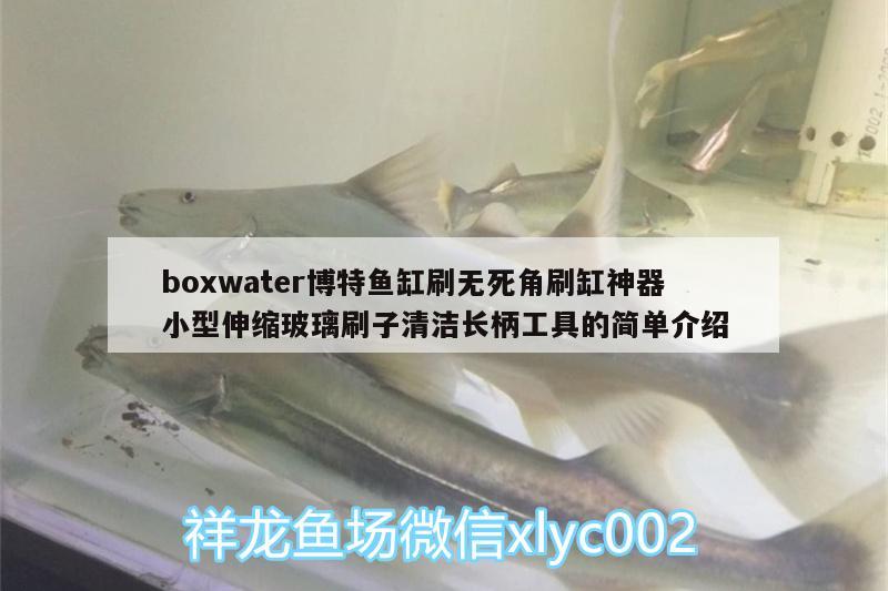 boxwater博特魚缸刷無死角刷缸神器小型伸縮玻璃刷子清潔長(zhǎng)柄工具的簡(jiǎn)單介紹