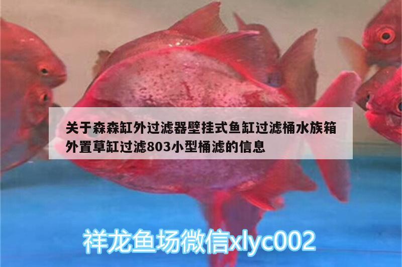 關(guān)于森森缸外過濾器壁掛式魚缸過濾桶水族箱外置草缸過濾803小型桶濾的信息 魚缸/水族箱