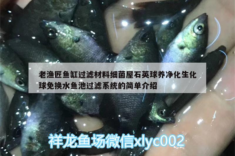 老漁匠魚缸過濾材料細(xì)菌屋石英球養(yǎng)凈化生化球免換水魚池過濾系統(tǒng)的簡單介紹