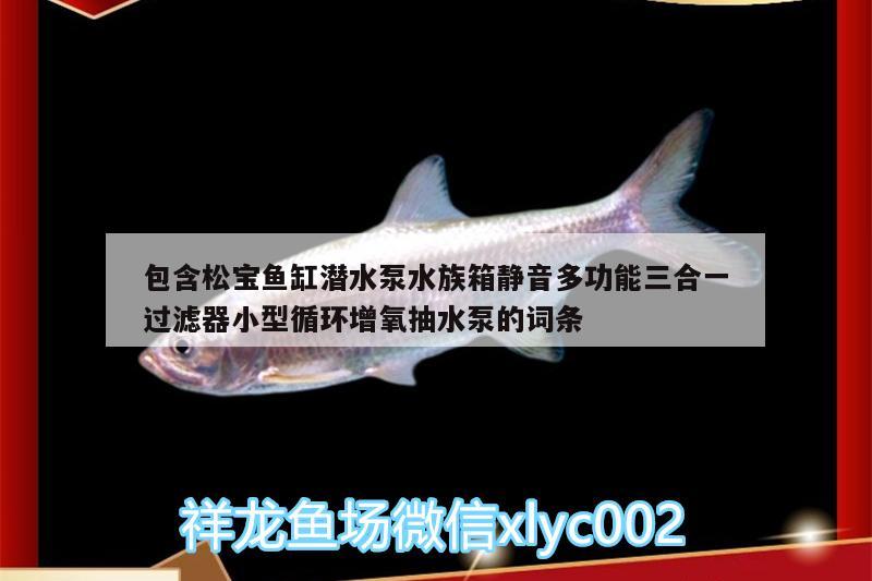 包含松寶魚缸潛水泵水族箱靜音多功能三合一過濾器小型循環(huán)增氧抽水泵的詞條