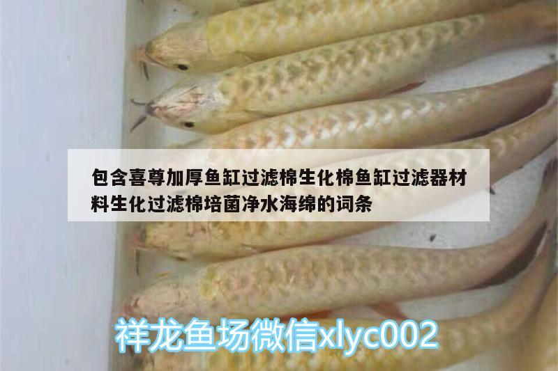 包含喜尊加厚魚缸過濾棉生化棉魚缸過濾器材料生化過濾棉培菌凈水海綿的詞條 廣州水族器材濾材批發(fā)市場(chǎng)