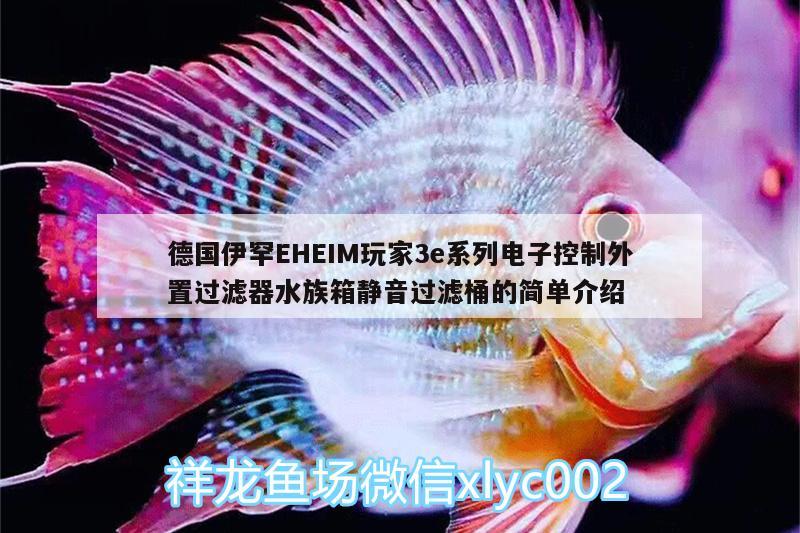 德國伊罕EHEIM玩家3e系列電子控制外置過濾器水族箱靜音過濾桶的簡單介紹 伊罕水族