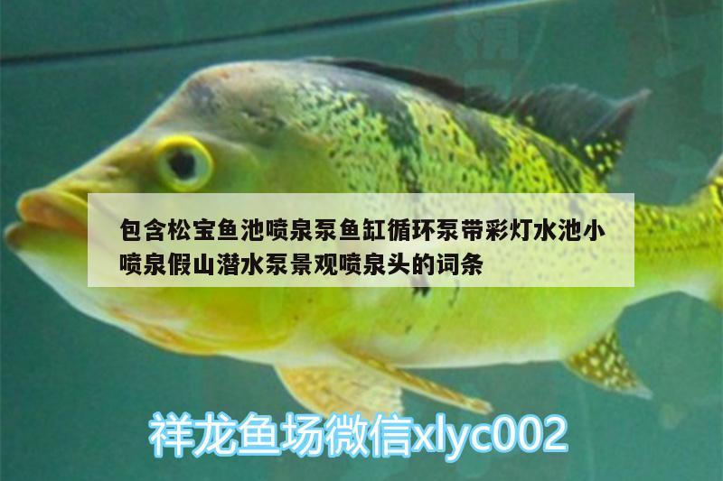 包含松寶魚(yú)池噴泉泵魚(yú)缸循環(huán)泵帶彩燈水池小噴泉假山潛水泵景觀(guān)噴泉頭的詞條 廣州水族器材濾材批發(fā)市場(chǎng)