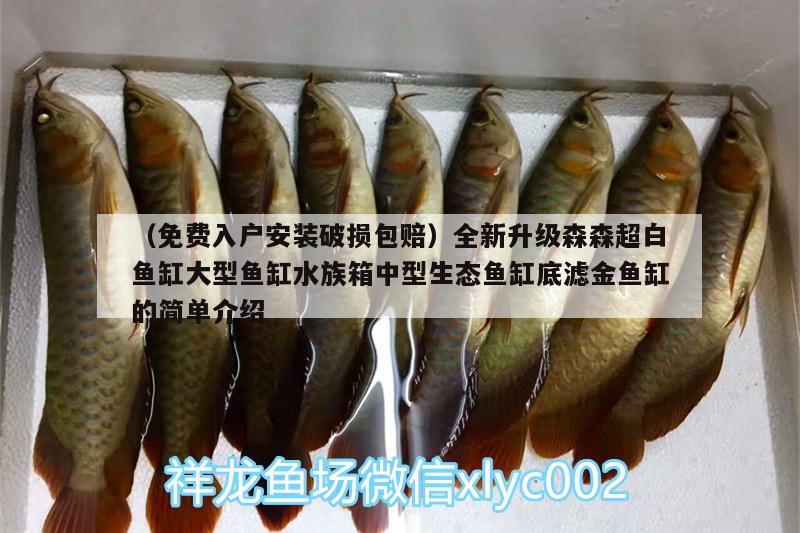 （免費(fèi)入戶安裝破損包賠）全新升級(jí)森森超白魚缸大型魚缸水族箱中型生態(tài)魚缸底濾金魚缸的簡(jiǎn)單介紹 魚缸/水族箱