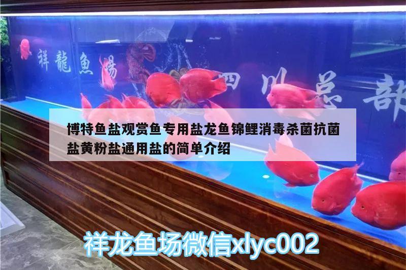 博特魚(yú)鹽觀賞魚(yú)專用鹽龍魚(yú)錦鯉消毒殺菌抗菌鹽黃粉鹽通用鹽的簡(jiǎn)單介紹 博特水族