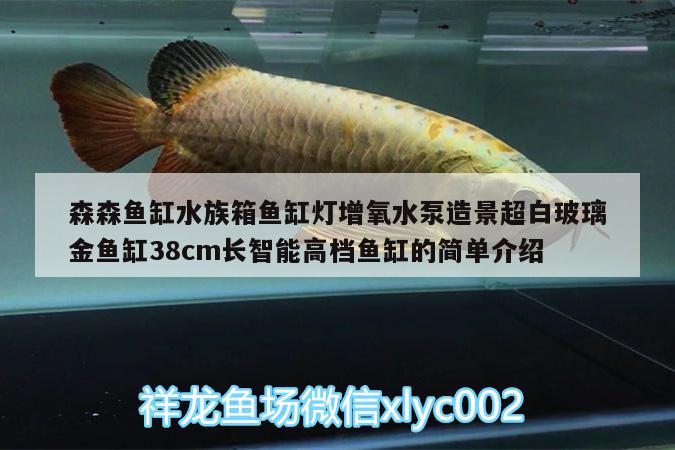 森森魚缸水族箱魚缸燈增氧水泵造景超白玻璃金魚缸38cm長(zhǎng)智能高檔魚缸的簡(jiǎn)單介紹 魚缸/水族箱