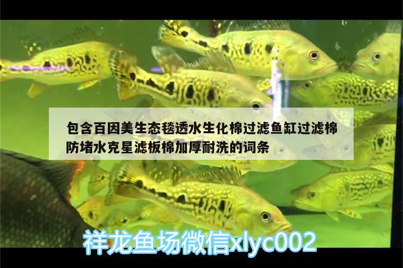 包含百因美生態(tài)毯透水生化棉過濾魚缸過濾棉防堵水克星濾板棉加厚耐洗的詞條 廣州水族器材濾材批發(fā)市場