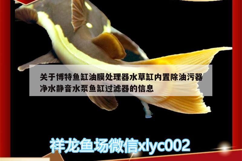 關(guān)于博特魚缸油膜處理器水草缸內(nèi)置除油污器凈水靜音水泵魚缸過濾器的信息