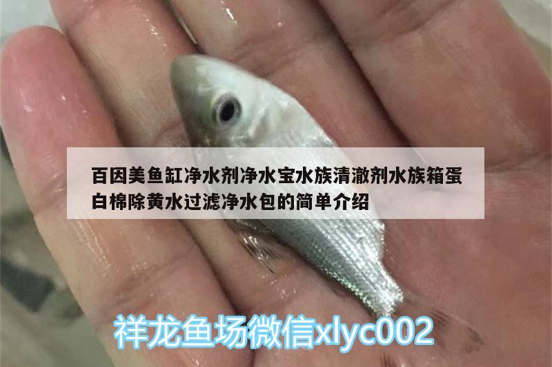 百因美魚缸凈水劑凈水寶水族清澈劑水族箱蛋白棉除黃水過濾凈水包的簡單介紹 魚缸/水族箱