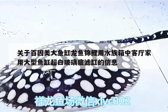 關(guān)于百因美大魚缸龍魚錦鯉用水族箱中客廳家用大型魚缸超白玻璃底濾缸的信息