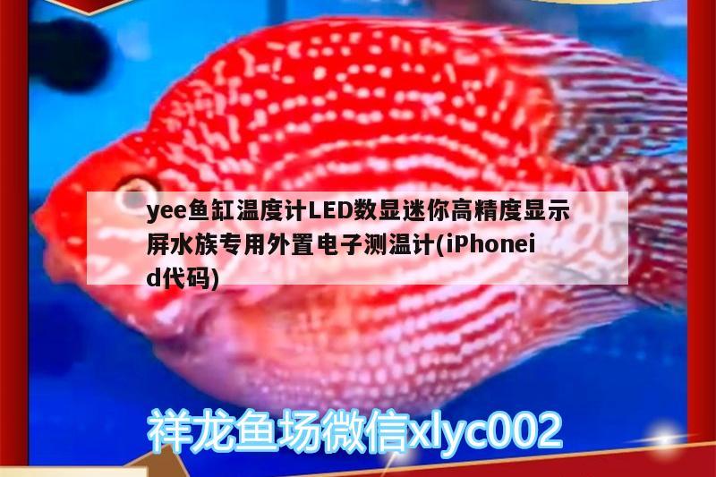 yee魚缸溫度計(jì)LED數(shù)顯迷你高精度顯示屏水族專用外置電子測溫計(jì)(iPhoneid代碼)