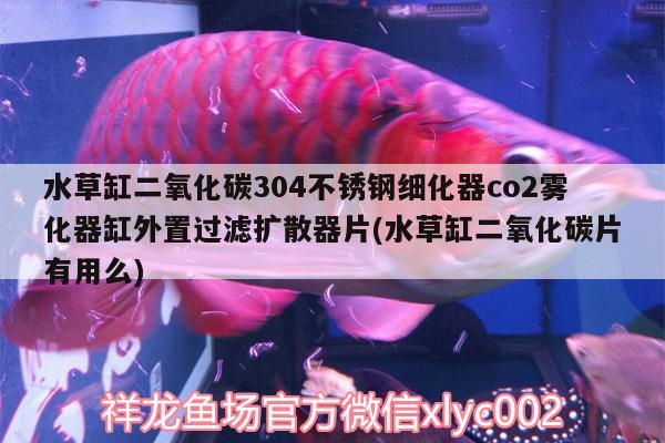 水草缸二氧化碳304不銹鋼細(xì)化器co2霧化器缸外置過(guò)濾擴(kuò)散器片(水草缸二氧化碳片有用么)