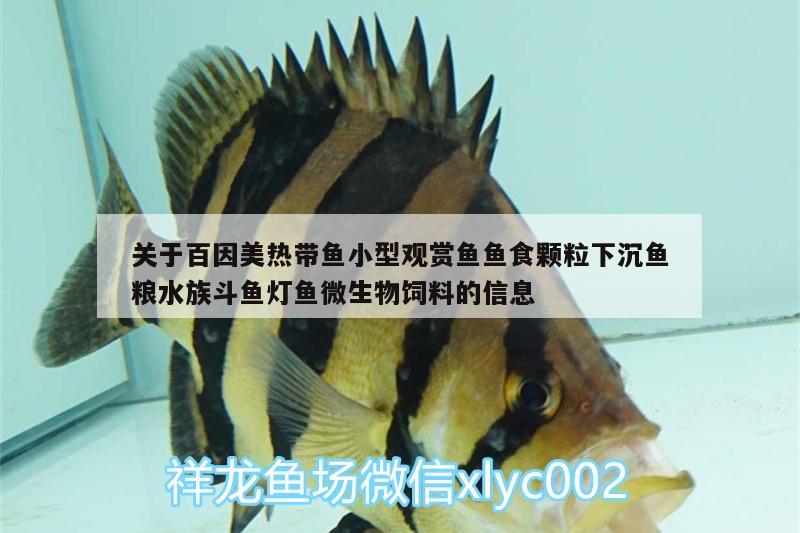 關(guān)于百因美熱帶魚小型觀賞魚魚食顆粒下沉魚糧水族斗魚燈魚微生物飼料的信息 小型觀賞魚