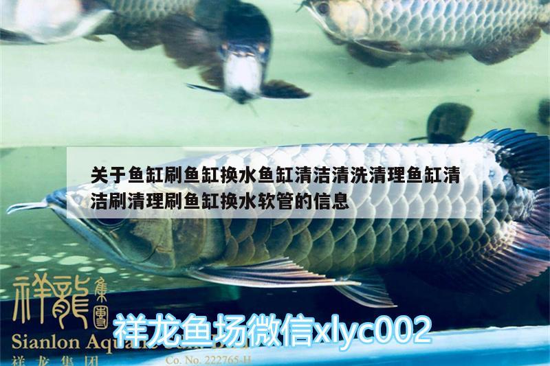 關(guān)于魚缸刷魚缸換水魚缸清潔清洗清理魚缸清潔刷清理刷魚缸換水軟管的信息