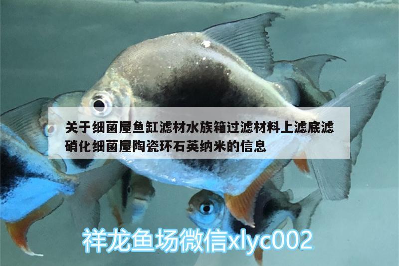 關(guān)于細(xì)菌屋魚缸濾材水族箱過(guò)濾材料上濾底濾硝化細(xì)菌屋陶瓷環(huán)石英納米的信息 硝化細(xì)菌