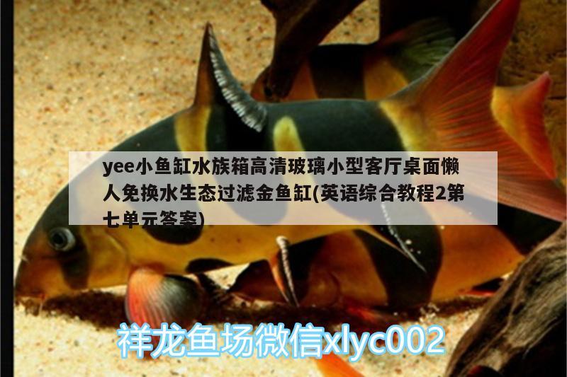 yee小魚缸水族箱高清玻璃小型客廳桌面懶人免換水生態(tài)過濾金魚缸(英語綜合教程2第七單元答案) yee