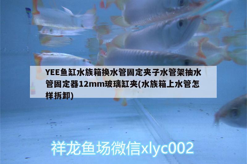 YEE魚(yú)缸水族箱換水管固定夾子水管架抽水管固定器12mm玻璃缸夾(水族箱上水管怎樣拆卸) yee